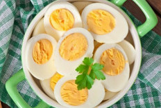 9 Manfaat Konsumsi Telur Rebus di Pagi Hari untuk Kesehatan Tubuh