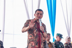 Antisipasi Dampak Puso, Pemprov Jateng Bentengi 10 Ribu Hektar Sawah dengan Asuransi*