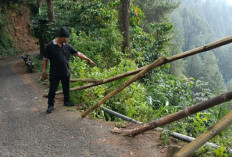 Diduga Tak Kuat Menanjak di Jalur Pulosari Lebakbarang, Carry Futura Masuk Jurang 200 Meter, 1 Orang Tewas