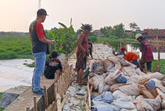 Gercep! DPUPR Kota Pekalongan Tutup Tanggul Jebol Kali Bremi Pabean, 3.000 Sandbag Dikerahkan