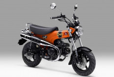 Si Mungil Ikonik Honda ST125 Dax Tampil Makin Gaya dengan Warna Baru