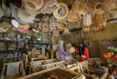 Ungkit Pertumbuhan UMKM dan Ekonomi Kerakyatan, BRI Berhasil Salurkan KUR Rp31,42 Triliun hingga Februari 2026