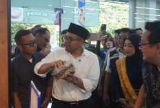 Kelengkeng Batang Tembus Pasar Toko Modern, Petani Siap Pasok 5 Ton per Minggu