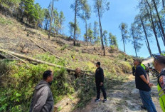 Kebakaran Hutan Petungkriyono Padam! Sekda Turun Langsung, Bara Tersembunyi Masih Diburu