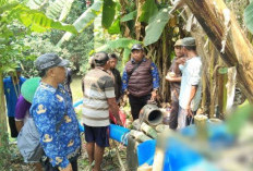 Gagal Panen Mengintai! 40 Hektare Sawah Sumub Kidul Diselamatkan Pompa DKPP