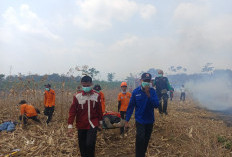 30 Karhutla Terjadi di Batang hingga September, Tim Gabungan Gelar Simulasi
