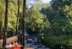 Ragam Destinasi Wisata untuk Rayakan Pergantian Tahun di Pekalongan yang Terjangkau