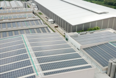 7 Distributor dan Vendor Panel Surya untuk Pabrik di Indonesia