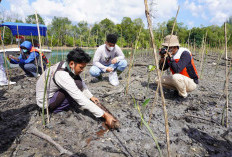 Hari Bumi 2026, Pertamina Perkuat Transisi Energi dan Pemberdayaan Masyarakat melalui Program Berkelanjutan