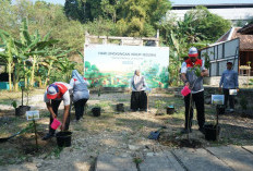 Peringati Hari Lingkungan Hidup, Pertamina Tanam 1.000 Pohon dan Salurkan Bantuan Rp150 Juta di Bantul