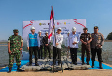 PLTS Gajah Mungkur Mulai Dibangun, Diproyeksikan Hasilkan Listrik 218 GWh