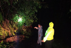 2 Titik Longsor Tutup Jalur Karanganyar-Lebakbarang di Pekalongan