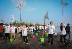 Program Mageri Segoro, Ikhtiar Bersama Menjaga Masa Depan Pesisir Jateng