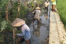 IP3A Kalijogo Tolak Pengeringan, Minta Dikaji Ulang