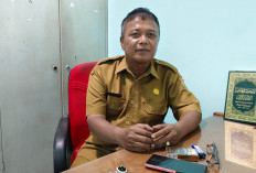 Program Transmigrasi ke Poso Dibuka, Warga Kabupaten Pekalongan Berpeluang Dapat Rumah dan Lahan Garapan