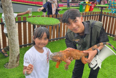 Miliki KIA, Anak-anak Batang Bisa Dapat Diskon 20 Persen Bermain di The Nice Play Land