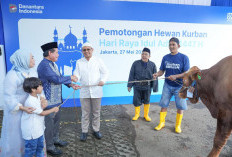 Semangat Berbagi dalam Rangka Idul Adha, BRI Group Distribusikan 5000 lebih Hewan Kurban di Berbagai Daerah