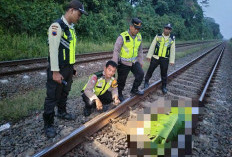 Pria Tanpa Identitas Tewas Tersambar KA Blambangan Express di Batang 
