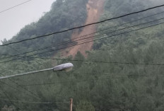 Longsor di Bukit Gunung Beser Petungkriyono Viral di Medsos, Camat Pastikan Jauh dari Permukiman