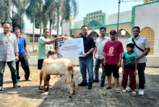 FIFGROUP Cabang Kota Batang Serahkan Hewan Kurban untuk Warga Pasekaran di Momentum Iduladha 1447 H