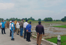 PSEL Pekalongan Raya Segera Ditetapkan, Tim Pusat Tinjau Kesiapan Lahan dan Infrastruktur