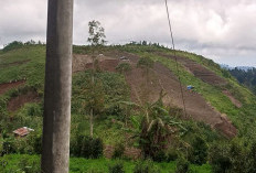 Polisi Selidiki Alih Fungsi Lahan Hutan di Petungkriyono