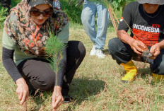  Balgis Apresiasi Tanam Pohon dan Bersih Pantai Slamaran, Dorong Gerakan Peduli Lingkungan
