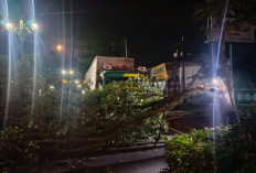 Truk Bermuatan Hebel Tabrak Pohon di Depan SMAN 1 Kajen, Arus Lalu Lintas Sempat Tersendat