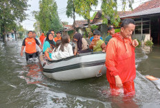  Dramatis! Evakuasi Warga Jalan Slamet Podosugih Pekalongan Barat, Banjir Terus Naik hingga 80 Sentimeter