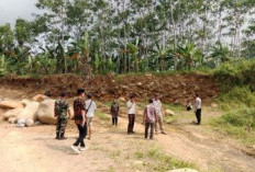 Sidak Tambang Galian C Ilegal di Sungai Welo Doro, Alat Berat Hilang Semalam Sebelum Petugas Datang