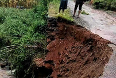 Tebing Jembatan Penghubung Desa Wonotunggal - Kemligi Longsor, Warga Terpaksa Memutar 9 Km