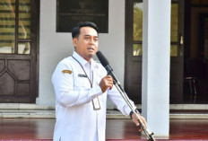 33 ASN Lolos Tiga Besar Seleksi JPT Pemkab Pekalongan, Ini Daftar Lengkap Kandidat Kepala Dinas dan Staf Ahli