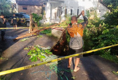 Jembatan Randukuning Doro Ambrol Diterjang Hujan Deras, Polisi Tutup Total Jalur dan Alihkan Arus Kendaraan