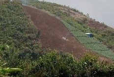 Pemkab Pekalongan Perketat Regulasi Lewat Perda Tata Ruang, Antisipasi Alih Fungsi Lahan di Pegunungan