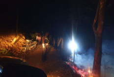 Kebakaran Hutan Pinus di Tajur Kandangserang Bikin Warga Bergerak Cepat, 250 Meter Persegi Lahan Hangus