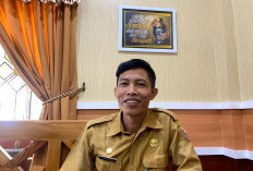 Kontak 72 PPPK Paruh Waktu di Batang Tak Diperpanjang: 42 Resign, 2 Diberhentikan akibat Indisipliner