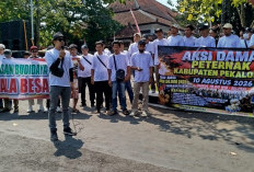 Harga Telur Anjlok, Peternak Ayam Gelar Aksi Damai, Minta Harga Telur Naik dan SPHP Jagung Diperpanjang