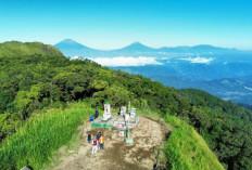 Cari Jejak Macan Tutul Jawa di Gunung Ungaran, YLNH, Yayasan Akar Banir dan UNNES Pasang Kamera Jebak