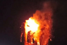 Viral! Pohon Setinggi 20 Meter di Dororejo Terbakar Hebat Disambar Petir, Api Tak Padam 2 Hari