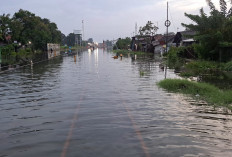 Jalur KA Pekalongan–Sragi Terendam Banjir, Sejumlah Kereta Dialihkan