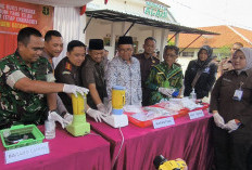 Sabu dan Ganja Senilai Ratusan Juta  Dimusnahkan Kajari Batang dengan Cara Diblender dan Dibakar