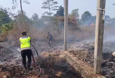 Tempat Pembuangan Sampah Terminal Doro Terbakar