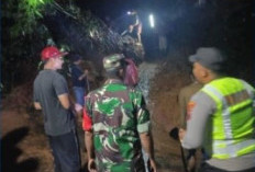 Tanah Longsor Tutup Akses Jalan di Desa Pamutuh Lebakbarang