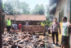 Api Lahap Rumah Warga di Talun Pekalongan, Diduga Berasal dari Tungku yang Masih Menyala