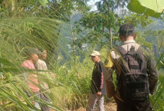 Berangkat Cari Songket, Petani di Kandangserang Hilang 2 Hari 1 Malam, Mitos di Desa Dibawa Wewe Gombel