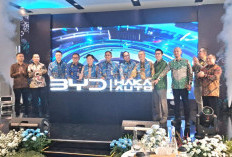 Setelah Resmikan 4 Dealer BYD di Jateng, Haka Auto Bidik Tegal Berikutnya