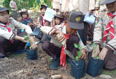 Praktik Menanam hingga Panen Melon, Nanda Siaga MI NU Takhassus Karangjati Ikuti Pesta Kebun