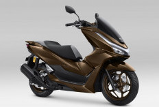 AHM Luncurkan Warna Baru Honda PCX160 di IIMS 2026, Perkuat Posisi di Segmen Skutik Premium
