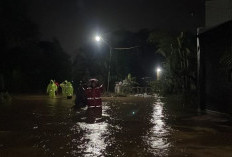 Cuaca Ekstrem Terjang Pekalongan, Longsor Tutup Jalan, Banjir Rendam Permukiman hingga 1 Meter