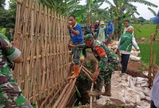 Gotong Royong Warga dan Stakeholder, Tanggul Jebol Kalibaros Tuntas Ditangani